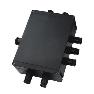 BJX8050防爆防腐接線(xiàn)箱